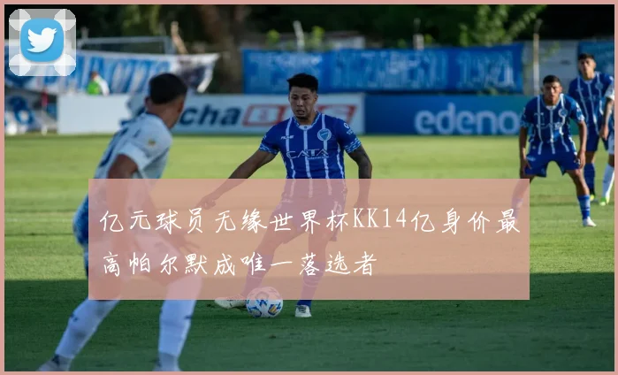 亿元球员无缘世界杯KK14亿身价最高帕尔默成唯一落选者